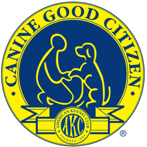 Canine Good Citizen training near me