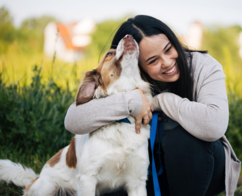 dog training dog training classes