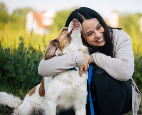 dog training dog training classes