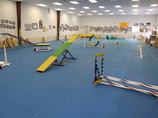 dog agility classes
