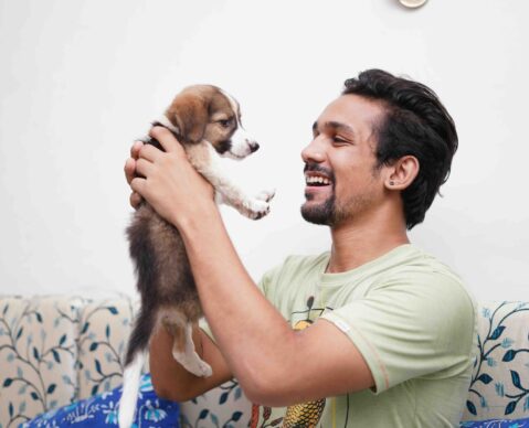 Puppy Training shcool training a puppy
