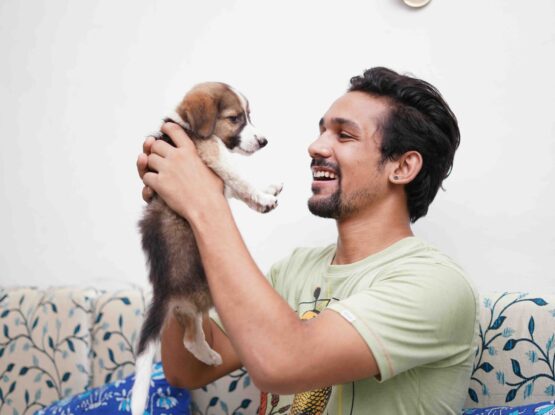 training a puppy
