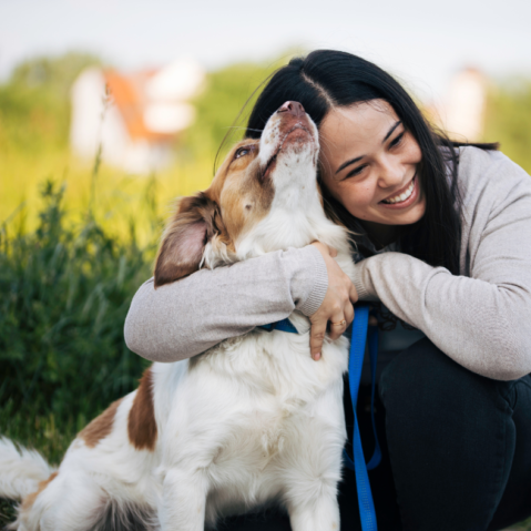 dog training classes