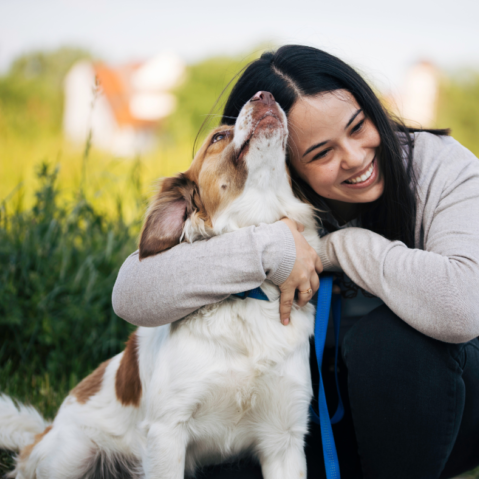 dog training dog training classes