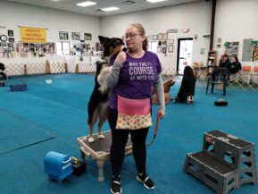 dog tricks class cape cid