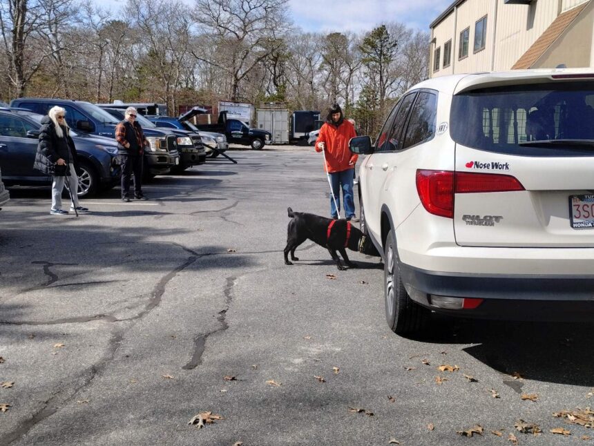 Joseph’s Obedience Training School Dog Training Facility on Cape Cod