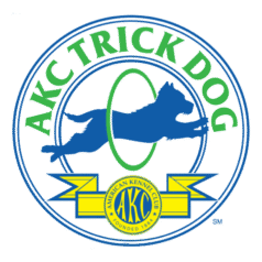 sports-events-trick-dog